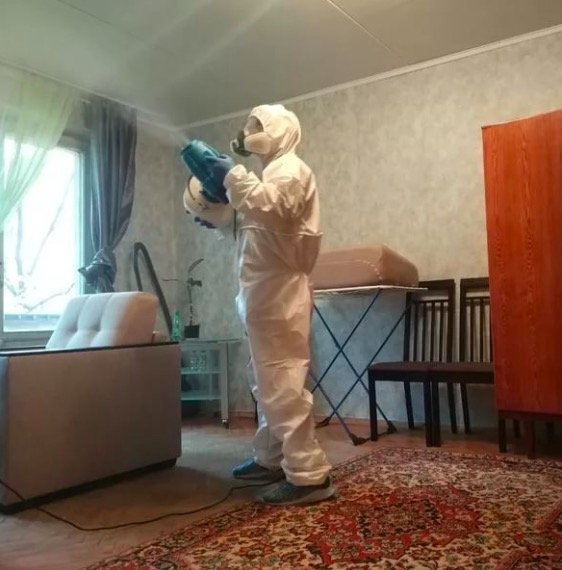 дезинсекция квартиры в Гатчине